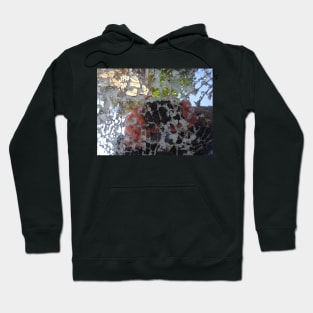 Mysterious object - 1 Hoodie